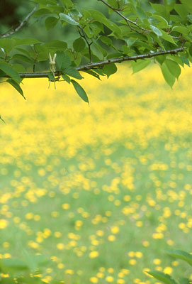 �^���|�|���h�L