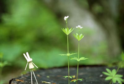 �N���}�o�\�E