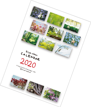 2020�Ǌ|���J�����_�[