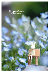 �t���[�J�[�h