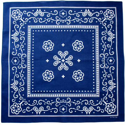 �o���_�i��