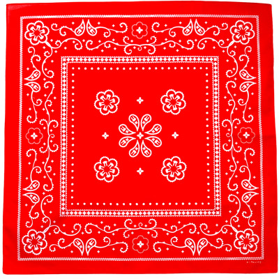 �o���_�i��