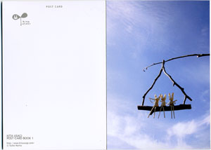 ���J���̗l�q