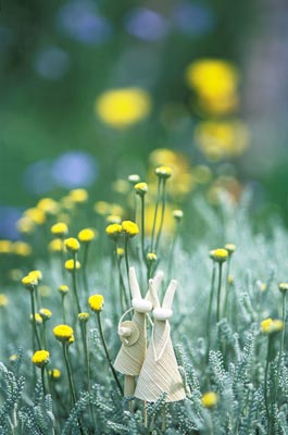 �T���g���i