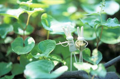 �}�C�d���\�E