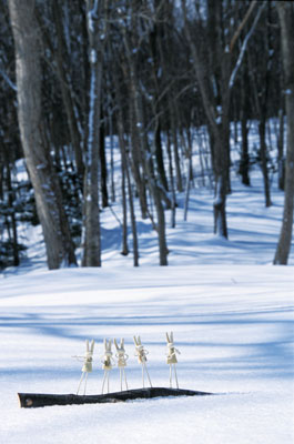 �ܐ����̐X