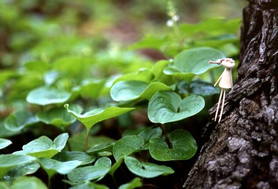 �}�C�d���\�E