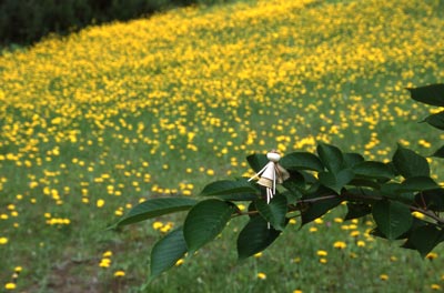 �^���|�|���h�L